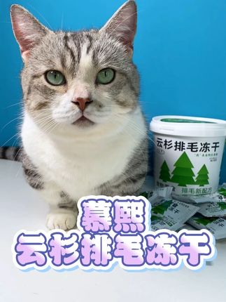 猫咪每天舔毛几百遍,铲屎官千万不要忽视给猫咪的排毛,想要温和不伤肠胃,快试试这个云杉排毛冻干吧!#猫咪排毛 #猫咪化毛 #云杉排毛冻干 #萌宠好物 #科学养宠攻略
