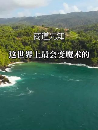 揭秘资本魔术:一亿芯片变出百亿泡影的背后玄机#商业认知 #干货分享 #商业思维 #资本运作 #好书分享