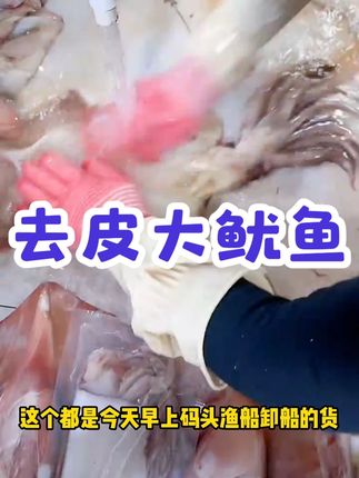 去皮大鱿鱼 5斤/份 每份3-5条去皮去内脏免清洗 单条包装 #抖音美食 #好物分享 #去皮大鱿鱼 #热点宝 #好吃不贵经济实惠