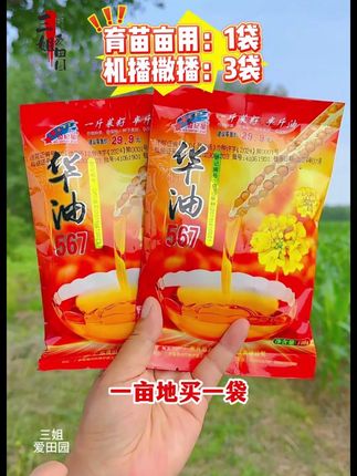 世纪星华油567优质油菜种花黄籽强分支抗病抗倒双抗双低早熟高产 #油菜种子 #华油567 #油菜种植 #高产油菜种子 #油菜籽种子