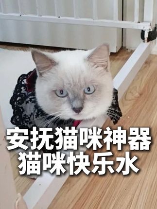 猫咪抑郁应激好用物 家庭猫咪如何让他解开抑郁,缓解低潮! 瞬间快乐,就用快乐水! #猫咪快乐水 #猫薄荷喷雾 #舌尖上的抖音 #幸运星期五
