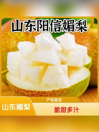 正宗山东阳信媚梨4.5-5斤皮薄脆甜多汁产地直发包邮 #梨 #水果 #脆甜多汁