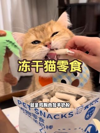 冻干猫零食羊奶棒幼猫咪冻干宠物零食营养鸡肉狗狗猫咪磨牙零食 想要小猫发腮长胖乎?光吃猫粮可是不够的!#猫咪零食  #猫咪发腮  #猫咪发腮零食  #新手养猫