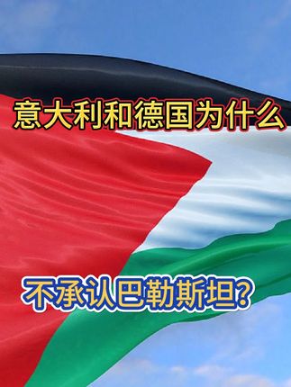 为什么意大利和德国不承认巴勒斯坦? #硬核深度计划 #零基础看懂全球 #国际
