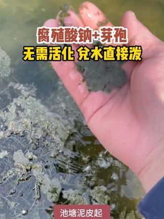 好用又方便的一款新型复合芽孢 不伤水体不伤鱼虾蟹,改善水浓水绿水草挂脏,晴天上午用!#水产养殖 #鱼虾蟹养殖 #澳龙养殖 #调水 #芽孢杆菌