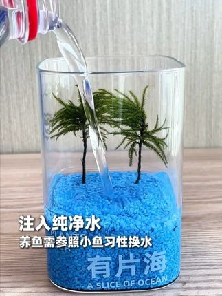 爱海,爱海爱海哟哟哟哟哟哟! #微景观 #绿植 #微缩场景 #极度舒适 #有片海