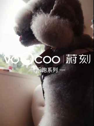 VOOCOO/蔚刻遛狗胸背带背心式小中大型犬防挣脱牵引绳外出遛狗#遛狗胸背带 #宠物用品 #犬用装备 #防挣脱牵引绳 #VOOCOO宠物