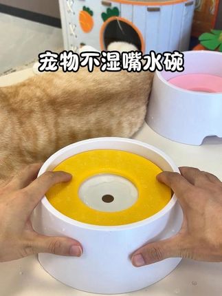 用这个喝水,麻麻再也不用担心我打湿嘴啦#不湿嘴宠物水碗 #萌宠好物 #科学养宠攻略 #猫碗 #狗碗