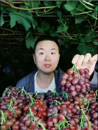正宗玫瑰香葡萄现摘现发 3斤顺丰包邮 山东烟台水果 #烟台葡萄 #新鲜水果 #顺丰包邮 #现摘现发 #玫瑰香葡萄 正宗山东烟台玫瑰香葡萄,现摘现发,果粒饱满多汁,口感清甜爽口。每箱净重4/3斤,采用顺丰冷链配送,确保新鲜直达。果皮薄脆,果肉细腻,是夏日消暑的绝佳选择。产地直供,品质保证,欢迎品尝!