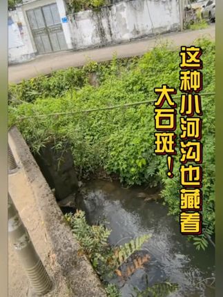 溪流男孩鱼竿新款37偏28调溪流竿超轻超细便捷式手杆小物竿八公竿#渔具 #钓具 #鱼竿 #钓竿 #便携钓竿