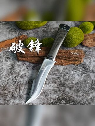 这把刀你一定要买 #水果刀 #吃肉刀 #剔骨刀 #户外露营