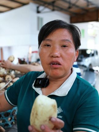 生吃脆甜可口的莲藕,你们你吃过吗,脆脆甜甜的口感,没有吃过的家人不要错过了,错过了就要在等上一年#洪湖莲藕 #新鲜采摘