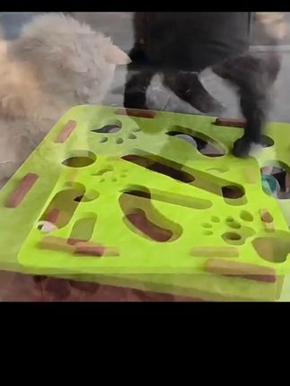 爆款逗猫盒!养猫家庭必备 铲屎官必囤宝藏!掏掏乐逗猫盒,完美契合猫咪爱玩本性,多个掏孔让猫咪尽情探索,小玩具晃晃悠悠超吸引,玩的过程锻炼反应力,养猫家庭不能少!#猫咪 #玩具