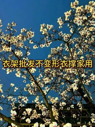 便宜又实惠的衣架 十几块钱到手整整50个衣架!#好物推荐 #衣架#生活用品#在抖音入手的好东西 #无限回购的宝藏单品
