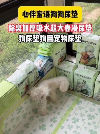 这香香的训导尿垫很适合不会定点的狗狗#宠物定点尿垫 #狗狗定点尿垫 #宠物尿垫 #狗狗训导尿垫