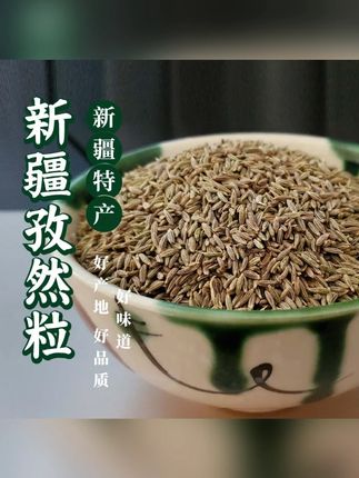 新疆孜然包邮农产品颗粒饱满原产地代客磨粉烧烤#孜然 #调味料 #优质农产品