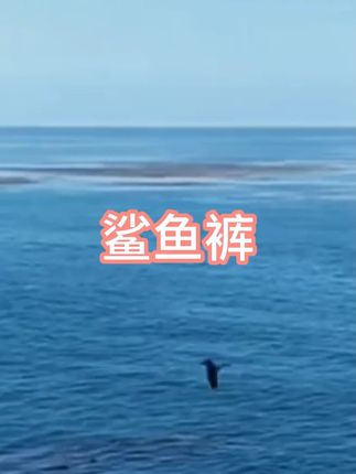 #显瘦穿搭 #鲨鱼裤#穿搭 #显高显瘦显腿长 #保暖又好看 #显瘦穿搭 #鲨鱼裤#穿搭 #显高显瘦显腿长 #保暖又好看