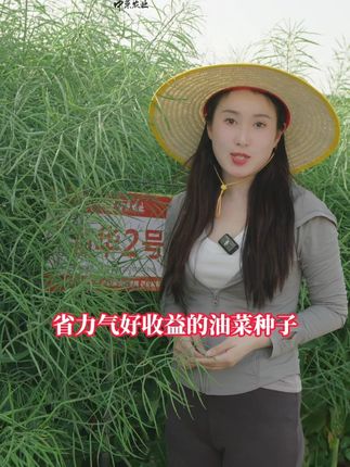 省力气好收益的油菜种子渝华2号它来了! #渝华2号#油菜种子#高产油菜#种植大户