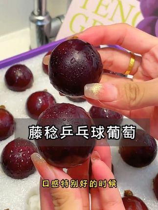 跟乒乓球一样大的葡萄,好甜呀,还是无籽的吃起来就好方便! #无籽葡萄 #乒乓葡萄 #应季水果
