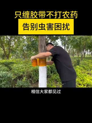 小小胶带大作用,轻松预防病害发生#绿化工程 #园林景观 #园林绿化 #绿化苗木 #市政园林