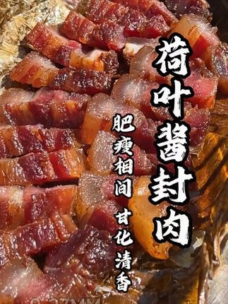 泰上王荷叶酱封肉 454g 广式腊味煲仔饭用 广式腊味经典!泰上王荷叶酱封肉 454g 做煲仔饭超香 #荷叶酱封肉 #广式腊味 #煲仔饭食材 #无限回购的宝藏单品