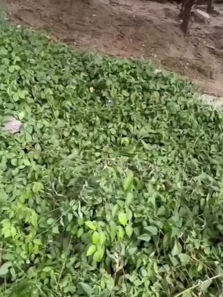 特种钢六棱撬棍,工业木工多功能实用好物! #工业撬棍 #多功能撬棍 #特种钢撬棍 #货车专用撬棍 #木工撬棒