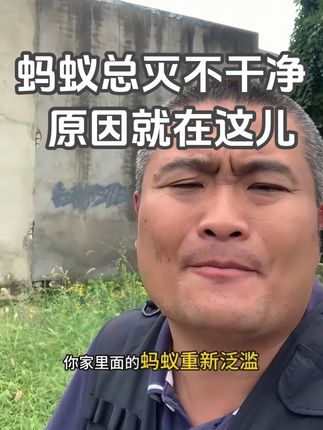 家里有蚂蚁总灭不干净的,试试这个灭蚂蚁专用杀虫剂,各种蚂蚁都能灭,还能灭干净彻底!#蚂蚁药 #灭蚂蚁 #除蚂蚁