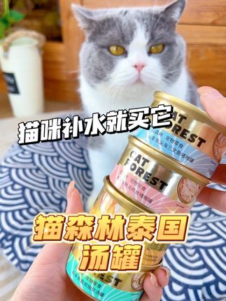 猫森林泰罐,猫咪补水就买他#猫森林泰罐猫 #猫罐头推荐
