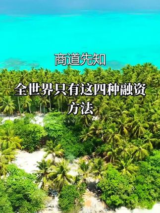 揭秘全球仅有的四大融资路径,颠覆你对资本运作的想象#商业认知 #干货分享 #商业思维 #资本运作 #好书分享