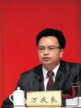 两名书记共享情妇,互相替对方养儿子,这绿帽贪官究竟是谁#人物故事 #反腐倡廉 #dou来守护钱袋子