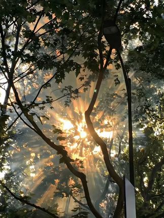 这个取碗夹真的太实用了,三合一的设计,以后端热菜热饭再也不怕烫手,而且它还是个开瓶夹 #厨房好物 #防烫夹