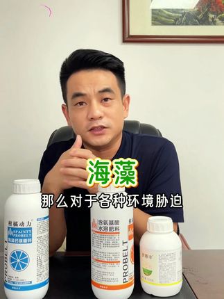 柑橘动力拉皮方案套餐让果实膨大改善粗皮日灼减少裂果增加蜡质层#柑橘 #柑橘管理 #柑橘种植 #柑橘动力拉皮方案 #抖音助农