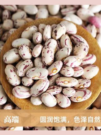 【25年新货】贵州雀蛋豆饱满子奶花芸豆营养花生豆煮粥五谷杂粮#好吃不贵经济实惠 #真材实料 #奶花芸豆 #奶花芸豆推荐