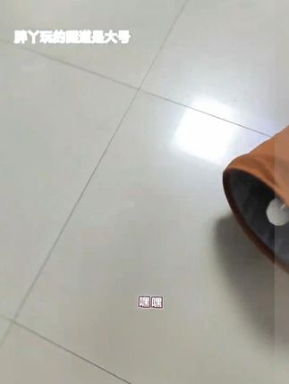 能玩能睡又能钻还好清洗方便收纳! 猫和人都拒绝不了啊!#猫窝 #猫窝隧道三花猫强烈推荐