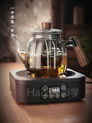 玻璃家用泡茶壶煮茶2024新款加厚耐高温烧水壶茶水分离电陶炉#电陶炉 #茶生活 #煮茶壶 #爱茶人 #喝茶dou有仪式感