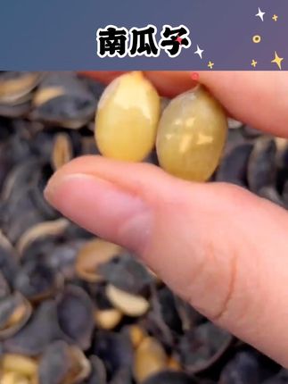 #瓜子 #南瓜子 #炒货 #罗永浩 #罗永浩推荐 黑金刚黑南瓜子籽开口黑南瓜子炒货精炒制老师傅休闲大颗粒南瓜子