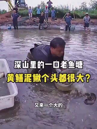 #大表哥vlog#三农#新农人计划2025#户外#捕鱼