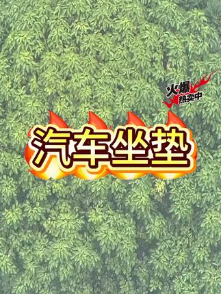 汽车坐垫单片主驾驶凉座垫四季通用夏季薄款纳帕皮座椅垫全包座套#坐垫 #汽车坐垫 #座套 #凉坐垫 #椅垫