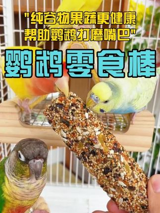 挂钩喂食器解决浪费问题,鹦鹉吃得安心又方便!#宠物生活 #鹦鹉饲养 #鹦鹉零食棒 @我要上热门