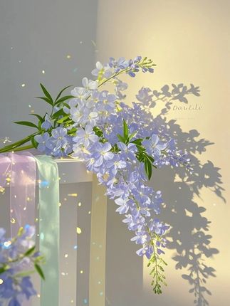 #宗庆后 #宗馥莉遗产案最新进展