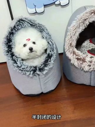 【现货】加厚封闭式手提猫窝狗窝长毛拖鞋保暖可拆洗宠物窝萌宠 #手提宠物窝 #鞋子猫窝#可拆洗