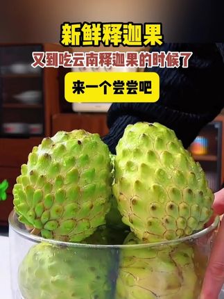 又到一年一度吃云南释迦果的时候了,来一个尝尝吧 #来过来尝尝这个 #释迦果 #一吃一个不吱声 #一口一口把你吃掉