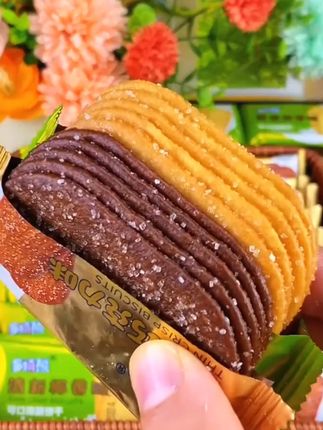 多禧熊薄脆饼干椰香味巧克力味小饼干小零食#好物推荐 #饼干 #薄脆饼干 #巧克力味饼干 #多禧熊饼干