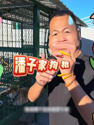 不管你家是运动型犬,还是大型犬喂#增肌壮骨狗粮 都可以!#狗粮推荐 #大型犬狗粮推荐 #新手养狗