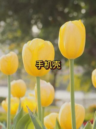 这波点蝴蝶结手机壳 也太好看了吧 快艾特你的好友一人一个#这个手机壳真的长在我心巴上了 #手机壳 #无限回购的宝藏单品 #在抖音入手的好东西 #七夕鲜花