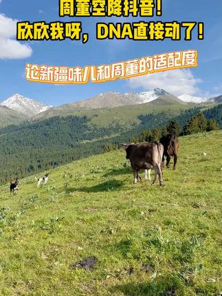其实,我们新疆不止囊言囊语,连我们囊言味的歌曲都有的呢