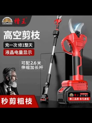 无刷电动剪刀剪树枝充电家用园林电动修枝剪果树园艺剪刀#无刷电动剪刀 #锂电剪刀 #电动剪刀 #园艺剪刀 #锂电剪刀厂家