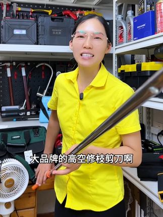 德力西电气2米高枝剪树枝专用剪刀高空修剪树枝果枝长杆伸缩杆 #果树修剪 #高空树枝剪 #多功能剪刀 #高空剪枝 #果树剪 #合金钢剪刀