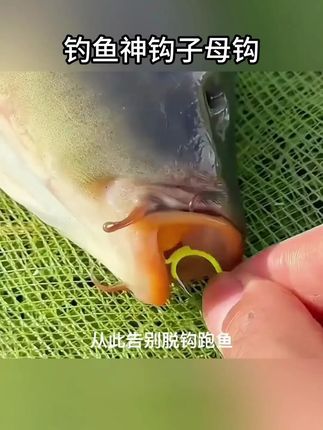 #钓鱼人 #子母钩 #渔具用品 #鱼钩 #钓鱼被三本钩扎手怎么取