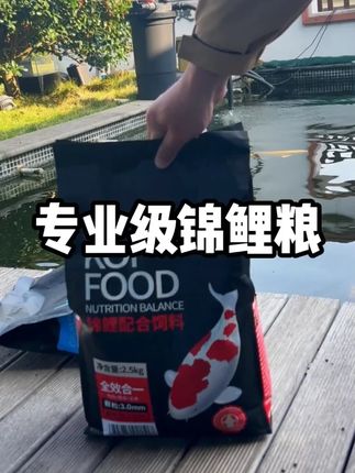 森森锦鲤鱼饲料观赏鱼专用鱼粮增色不浑水饲料天然颗粒锦鲤专用粮#森森锦鲤鱼饲料 #观赏鱼专用鱼粮 #颗粒锦鲤专用粮